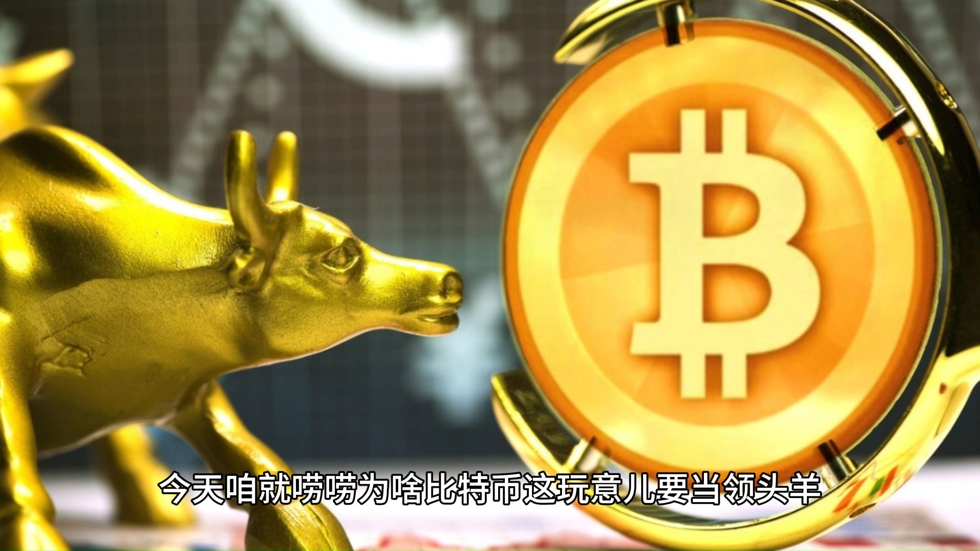 OP冲破16美元大关，牛市是否已来临？！